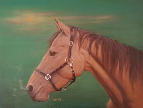 Horse 2