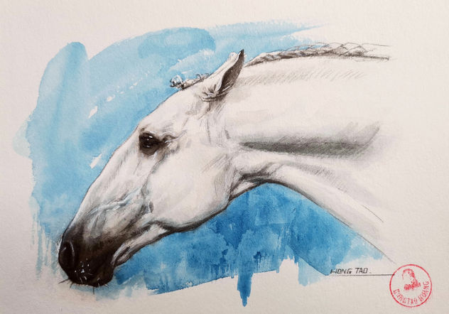 HORSE 3