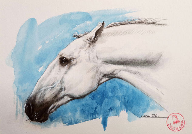 HORSE 3 Acuarela Papel Animales