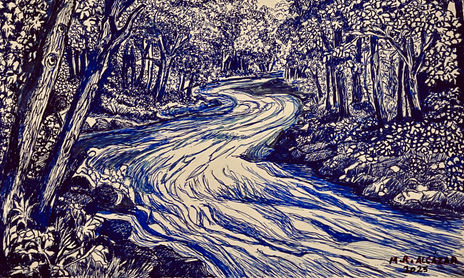 DIBUJOS A BOLIGRAFO