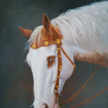 ANIMALS thumbnail 1
