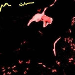SURCOS thumbnail 2