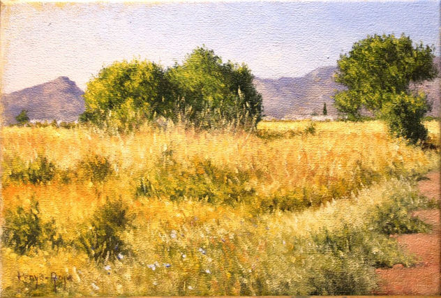 Surroundings of Moncofa: Reflection and Serenity