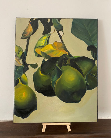 Limones