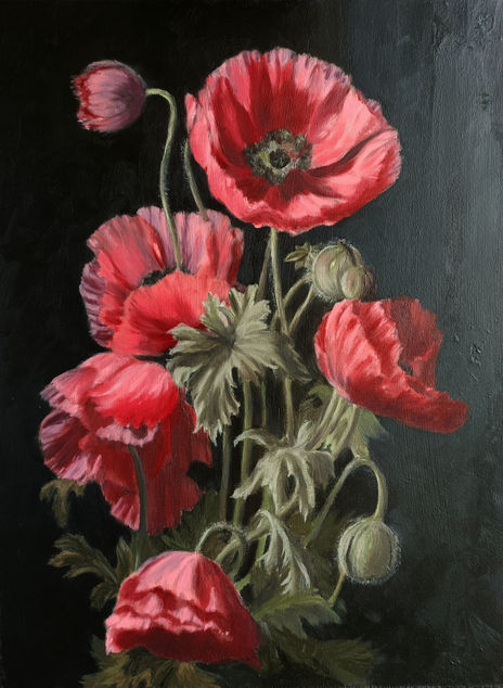 Amapolas