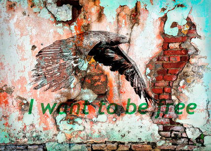 To be free