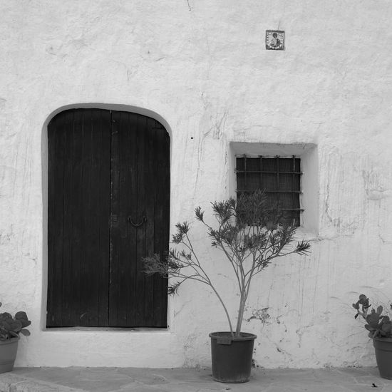 S/T Architecture and Interiorism Black and White (Digital)