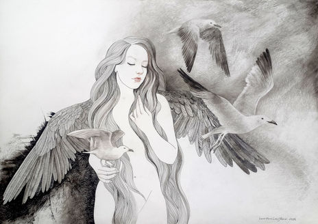New Wings
