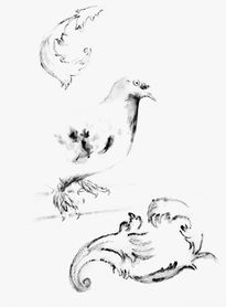 El Pichón De Patas...