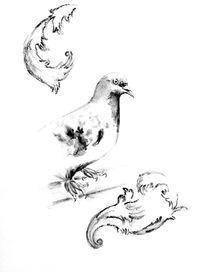 El Pichón De Patas...