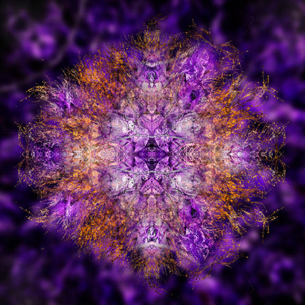 Mandala en roses