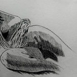 desnudos thumbnail 2