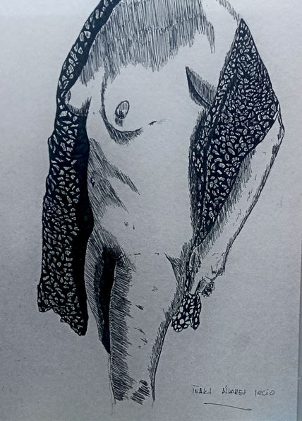 Desnudo V