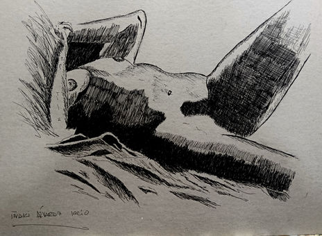 Desnudo Vl