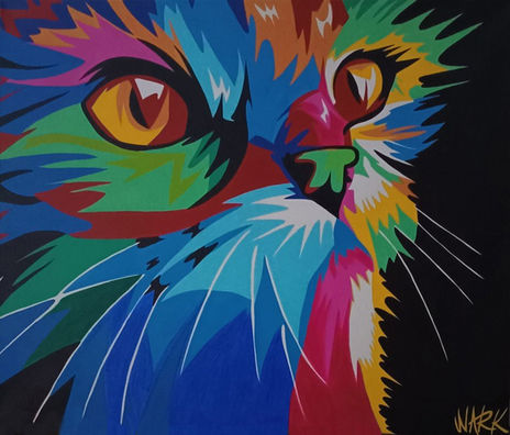 Feline Explosion