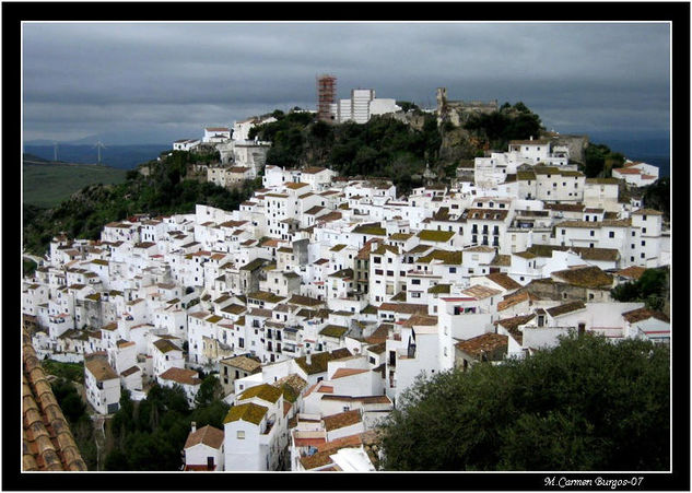 Casares Other Themes Color (Digital)