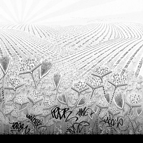 Campo escrito