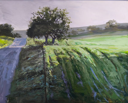 La encina solitaria