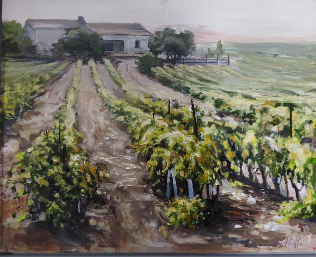 Viñedo Jerezano Acrylic Panel Landscaping