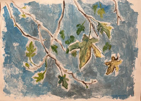 Breve descripción...