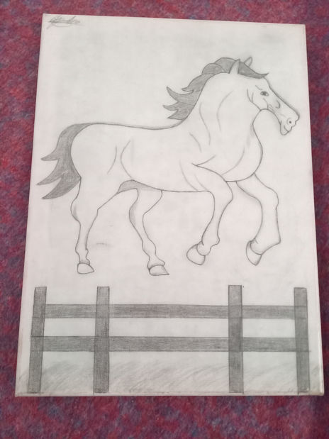 Caballo