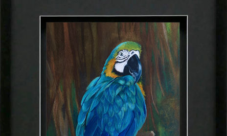 Naturaleza