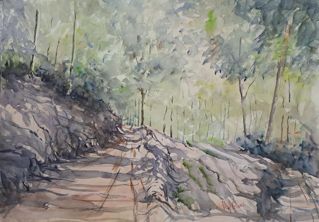 Naturaleza 71 Watercolour Paper Landscaping