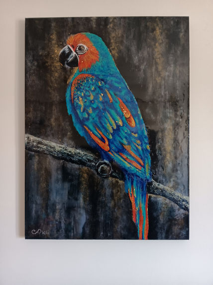 Ave de color