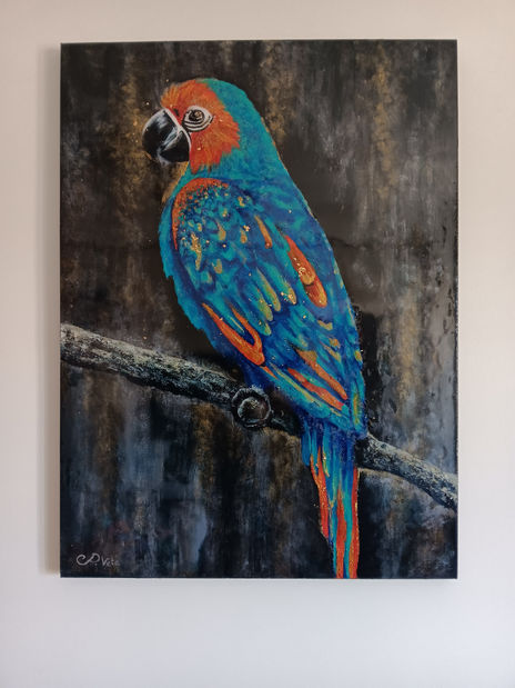 Ave de color