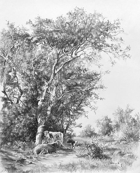 Coolness of Summer Graphite