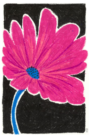 Bloom in the Shadows Pencil