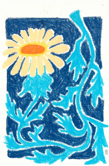 Little Winter Sun Pencil