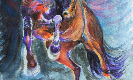 Animals (Featured)
