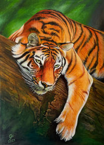 La Mirada Del Guardián