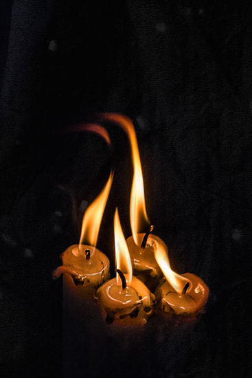 LLAMA ETERNA Conceptual/Abstracto Color (Digital)