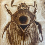 Monochrome thumbnail 1