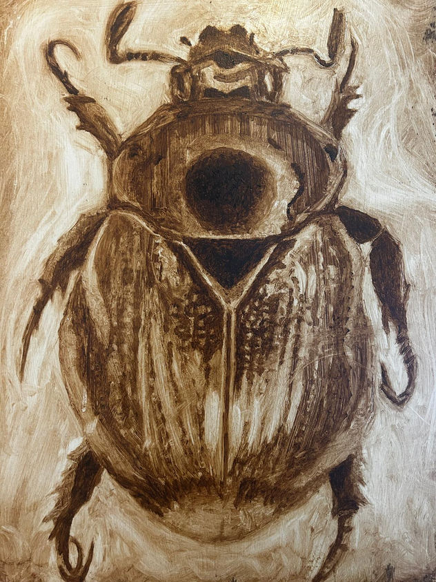Beetle