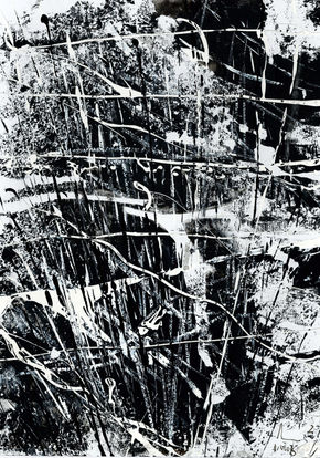 Entrecruzamientos...