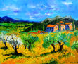 Spring in Provence