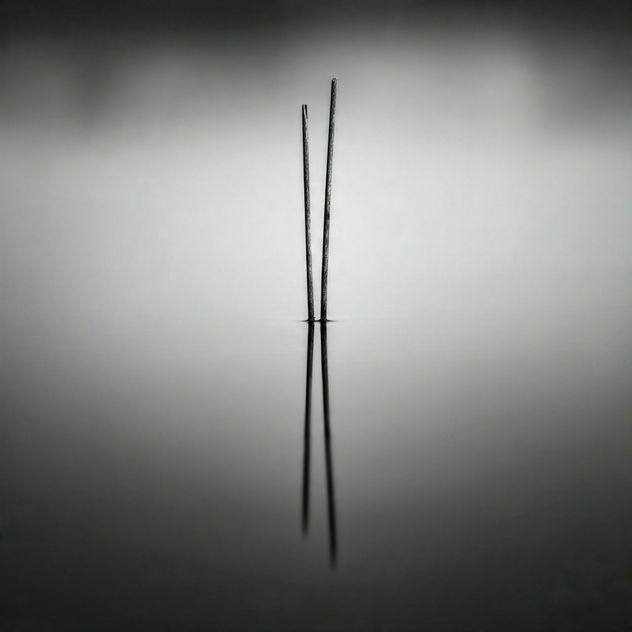 Reflection 3