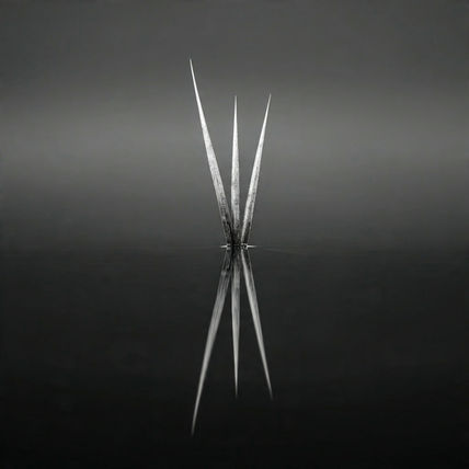 Reflection 4