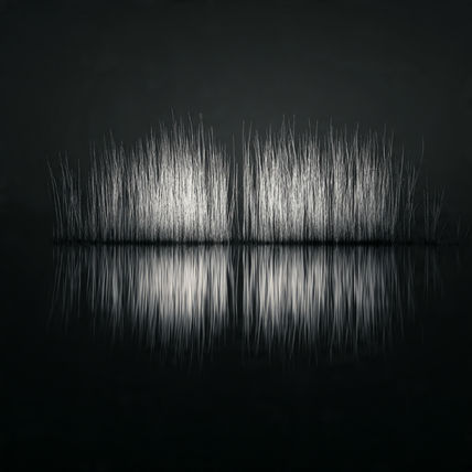 Reflection 7