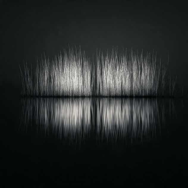 Reflection 7