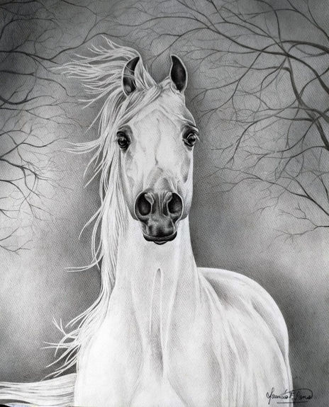 Caballo arabe