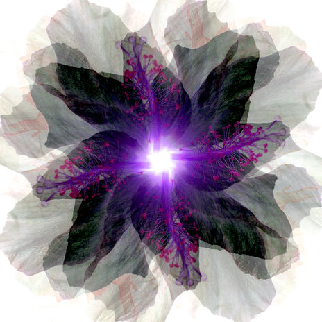 Mandala luz