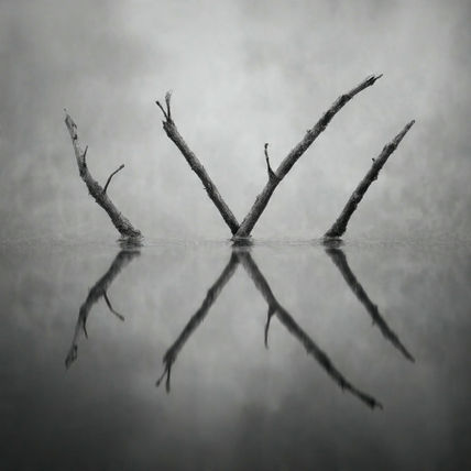 Reflection 8