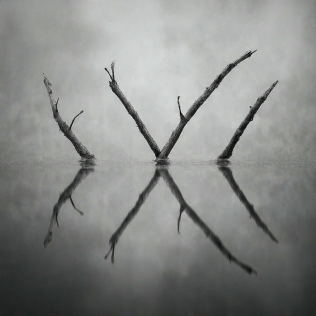Reflection 8