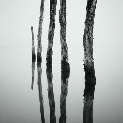 Reflection 9