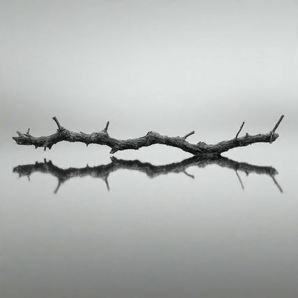 Reflection 10