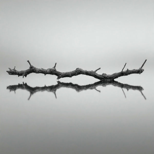 Reflection 10